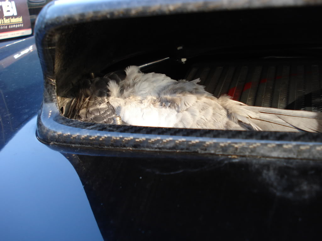 Name:  DSC00721.jpg
Views: 17
Size:  73.8 KB