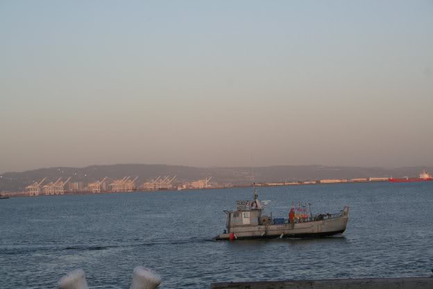 Name:  ship.jpg
Views: 18
Size:  21.5 KB