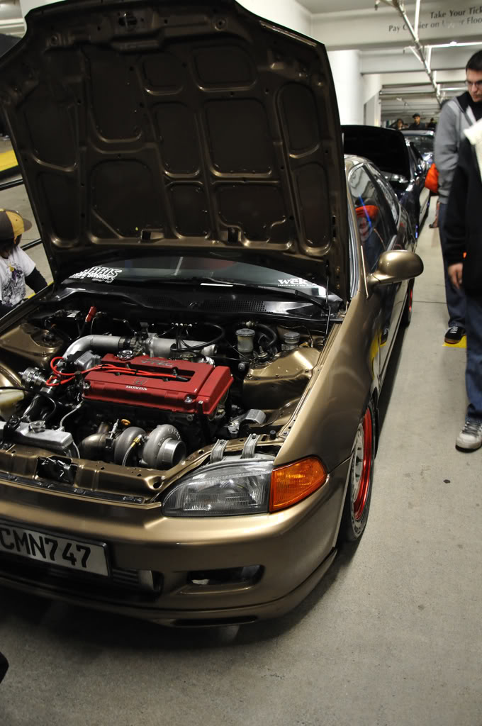 Name:  DSC_0121_01.jpg
Views: 20
Size:  136.2 KB