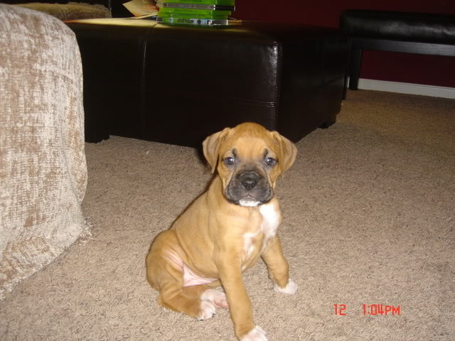 Name:  DSC02179.jpg
Views: 14
Size:  72.7 KB