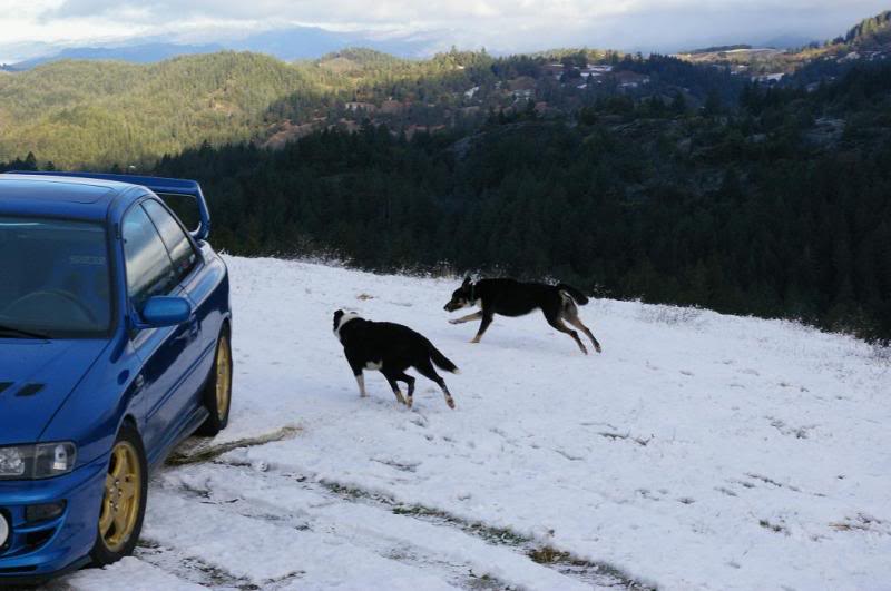 Name:  snow-0814.jpg
Views: 164
Size:  103.2 KB