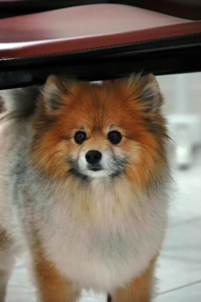 Name:  n597745164_1779346_3849.jpg
Views: 12
Size:  23.6 KB