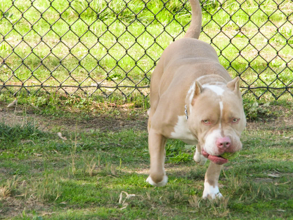 Name:  017-1.jpg
Views: 14
Size:  241.7 KB