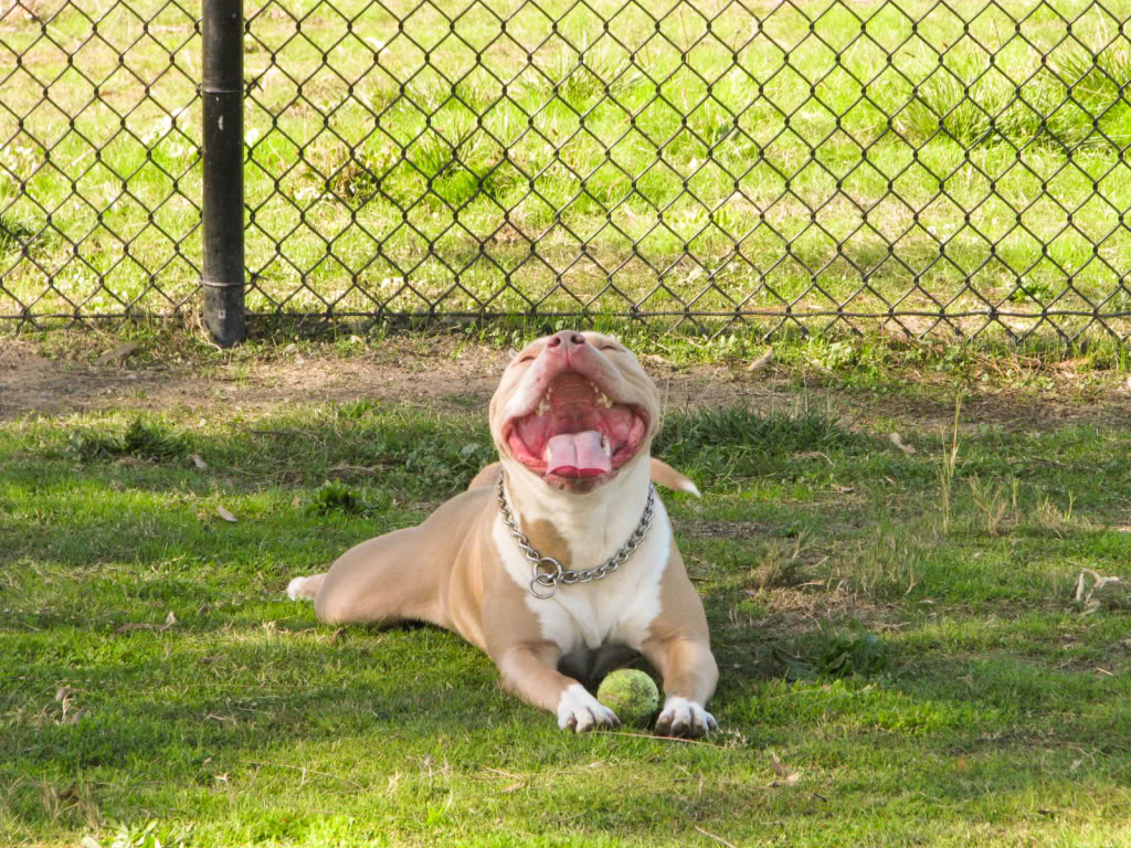 Name:  026-1.jpg
Views: 10
Size:  291.0 KB