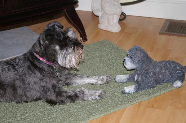 Name:  snupmini.jpg
Views: 18
Size:  39.0 KB