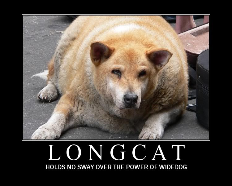 Name:  longcat.jpg
Views: 93
Size:  78.8 KB