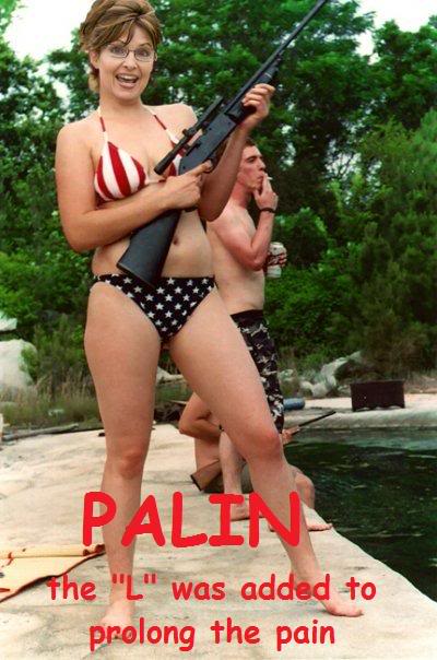 Name:  pali_gun.jpg
Views: 12
Size:  51.2 KB