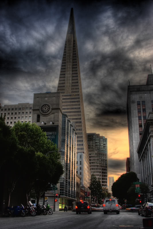 Name:  Coit.jpg
Views: 27
Size:  71.0 KB