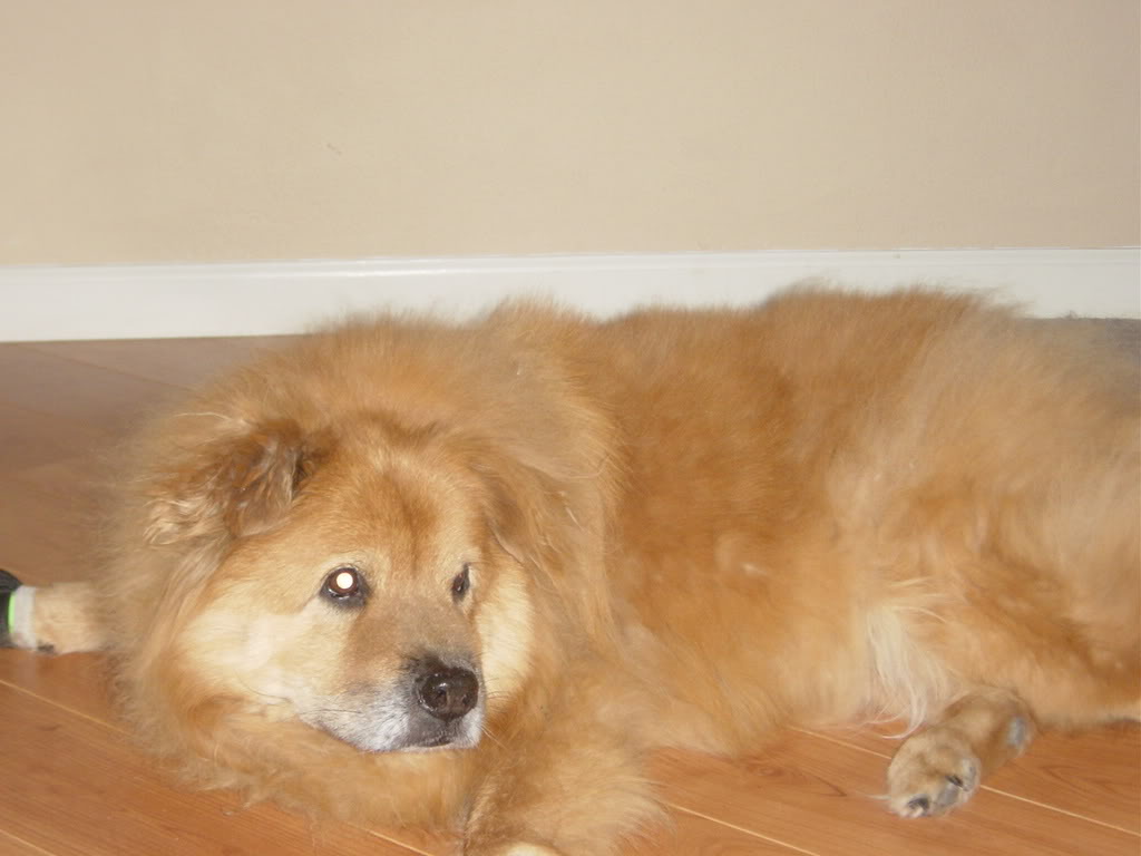 Name:  DSC01062.jpg
Views: 65
Size:  62.8 KB