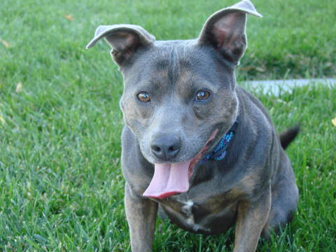 Name:  Picture036.jpg
Views: 35
Size:  34.2 KB
