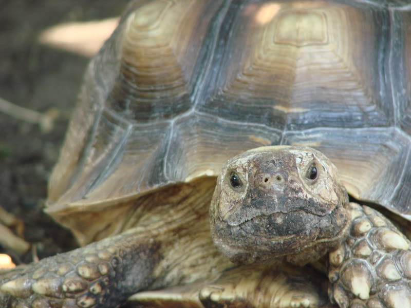 Name:  DSC03576.jpg
Views: 65
Size:  68.4 KB