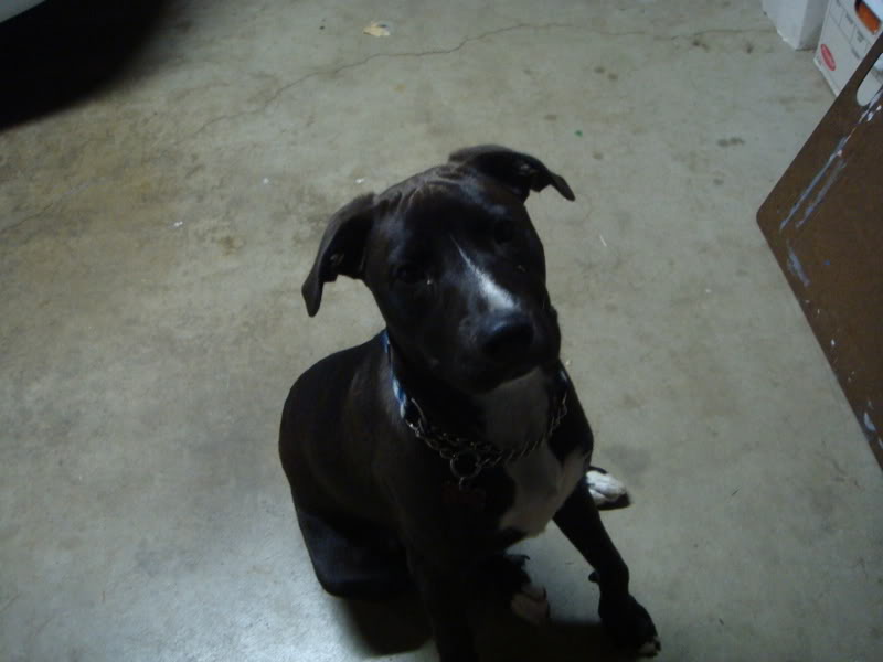 Name:  DSC00192.jpg
Views: 25
Size:  48.8 KB