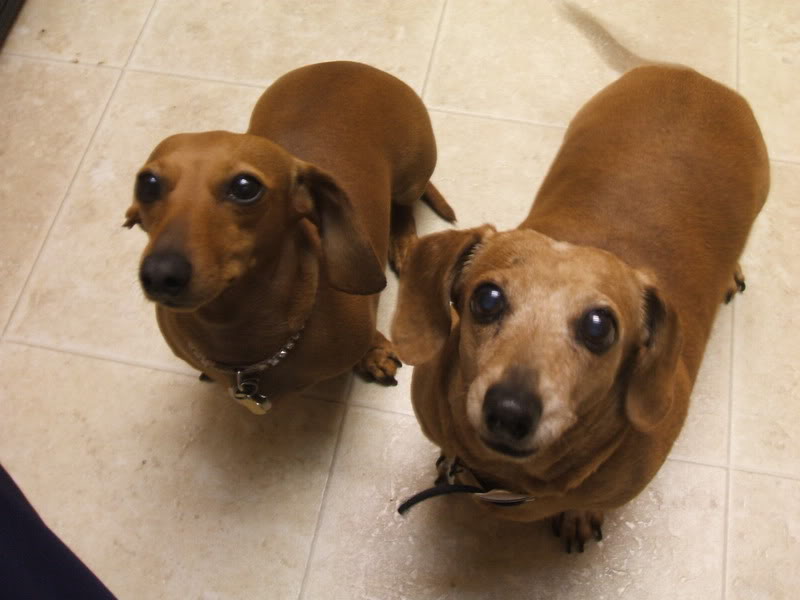 Name:  DSCF1800.jpg
Views: 27
Size:  50.2 KB