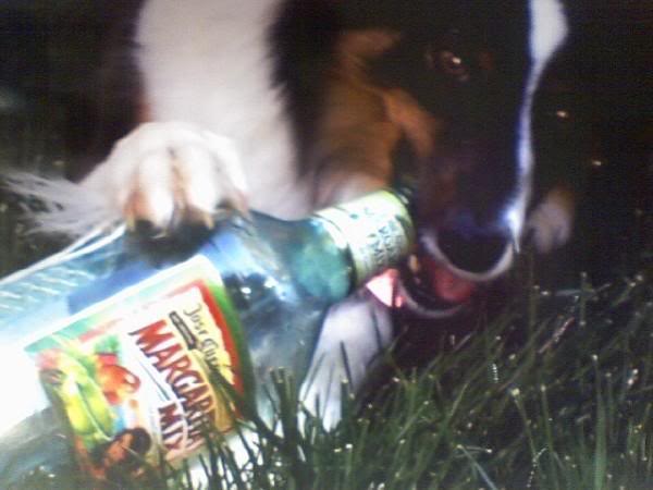 Name:  3-2.jpg
Views: 38
Size:  31.8 KB