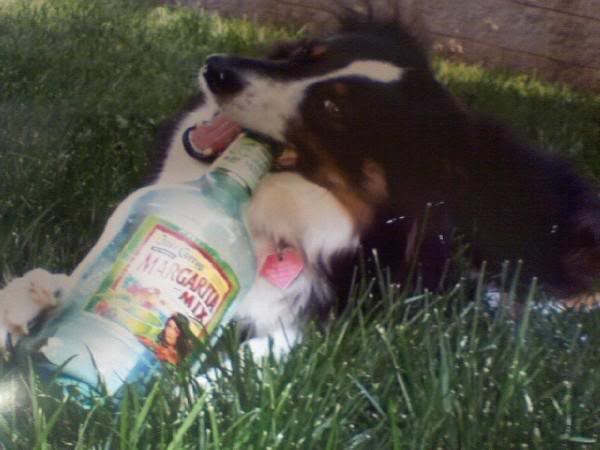 Name:  2-4.jpg
Views: 37
Size:  33.7 KB