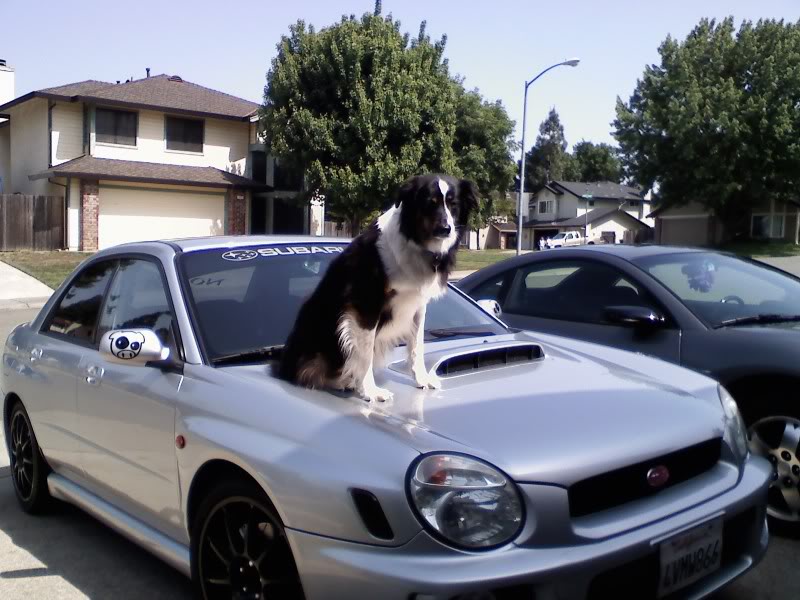 Name:  0509081507.jpg
Views: 38
Size:  87.7 KB