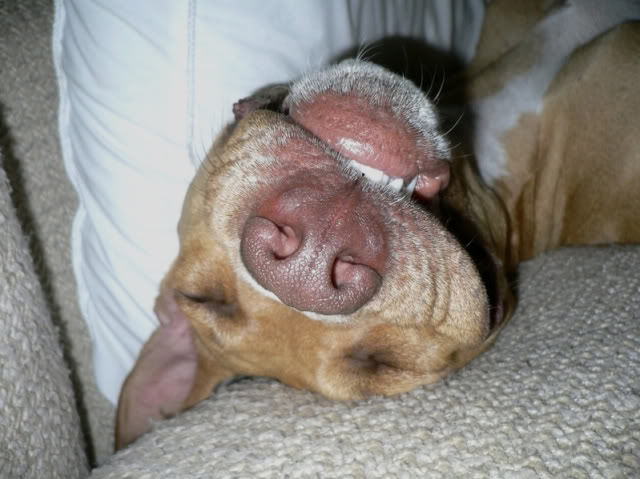 Name:  securedownload.jpg
Views: 102
Size:  54.5 KB