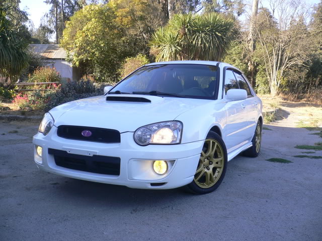 Name:  P1040128.jpg
Views: 17
Size:  98.9 KB