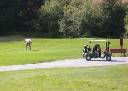 Name:  assgolf.jpg
Views: 23
Size:  40.8 KB