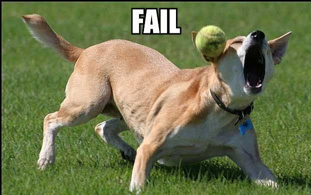Name:  fail-1.jpg
Views: 17
Size:  37.7 KB