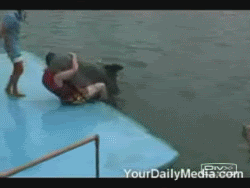 Name:  1210601372328.gif
Views: 483
Size:  815.1 KB