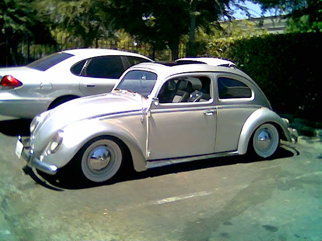 Name:  rightsiepic.jpg
Views: 23
Size:  36.2 KB