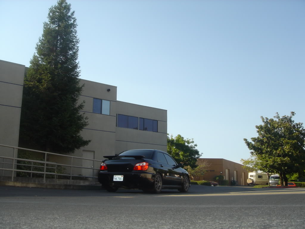 Name:  DSC04160.jpg
Views: 22
Size:  96.1 KB