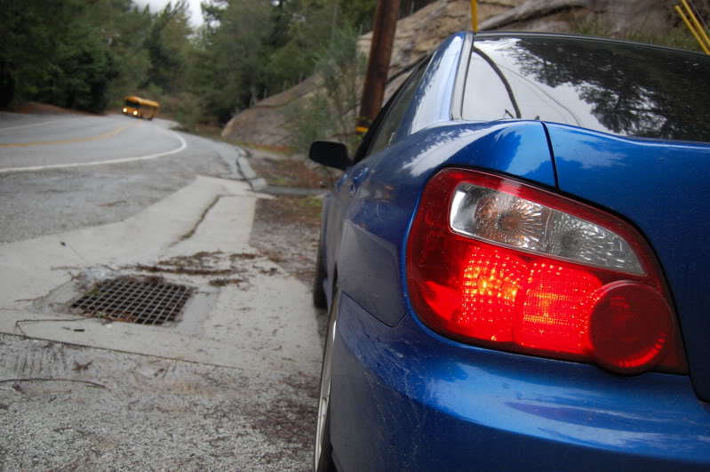 Name:  DSC_0102.jpg
Views: 19
Size:  110.8 KB