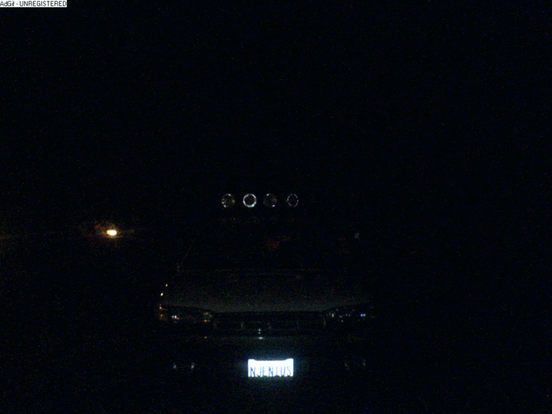 Name:  MyLights2.gif
Views: 1454
Size:  1.96 MB