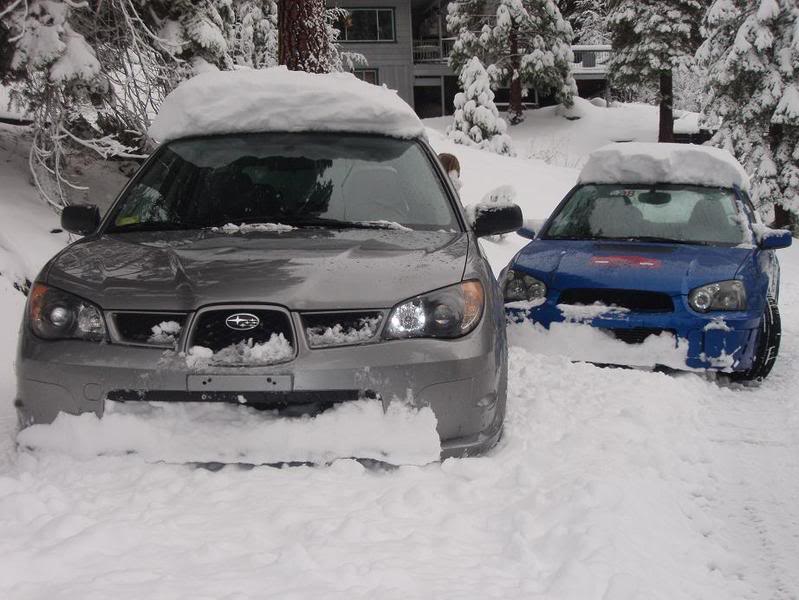 Name:  Pinecrest063.jpg
Views: 159
Size:  72.7 KB