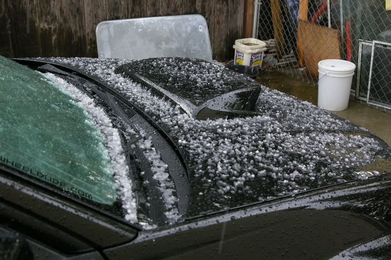 Name: IMGP6463.jpg
Views: 184
Size: 168.8 KB