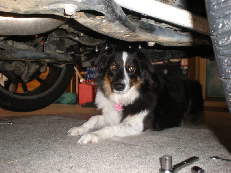 Name:  1-3.jpg
Views: 15
Size:  80.3 KB