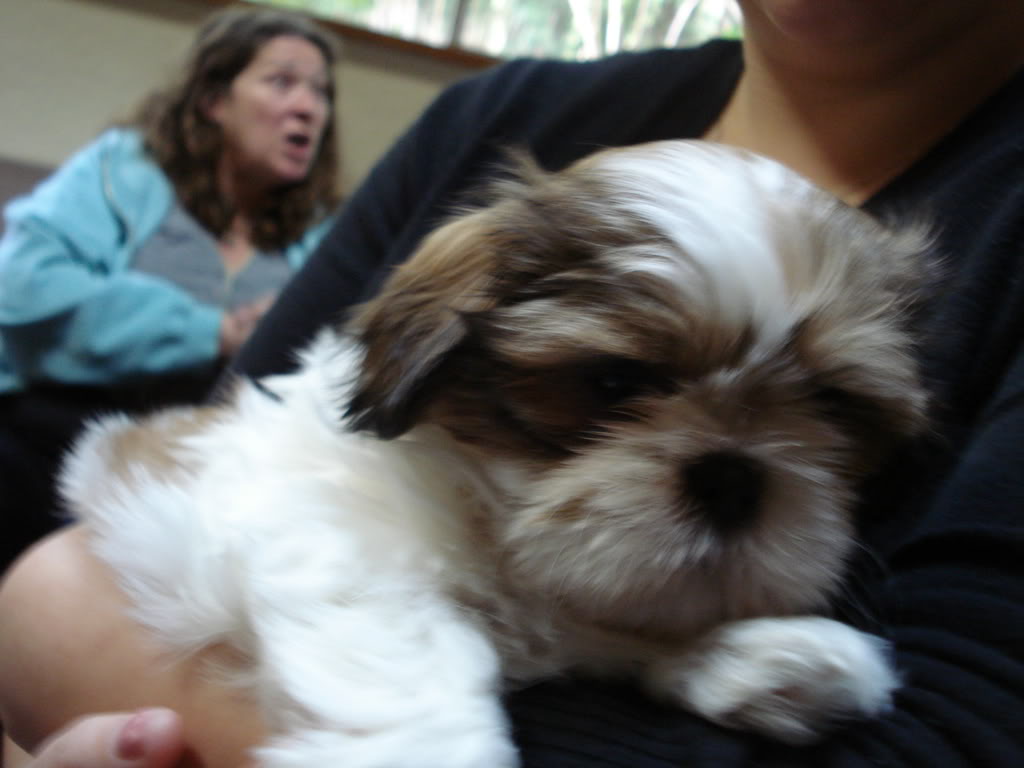 Name:  Baxter008.jpg
Views: 13
Size:  66.9 KB