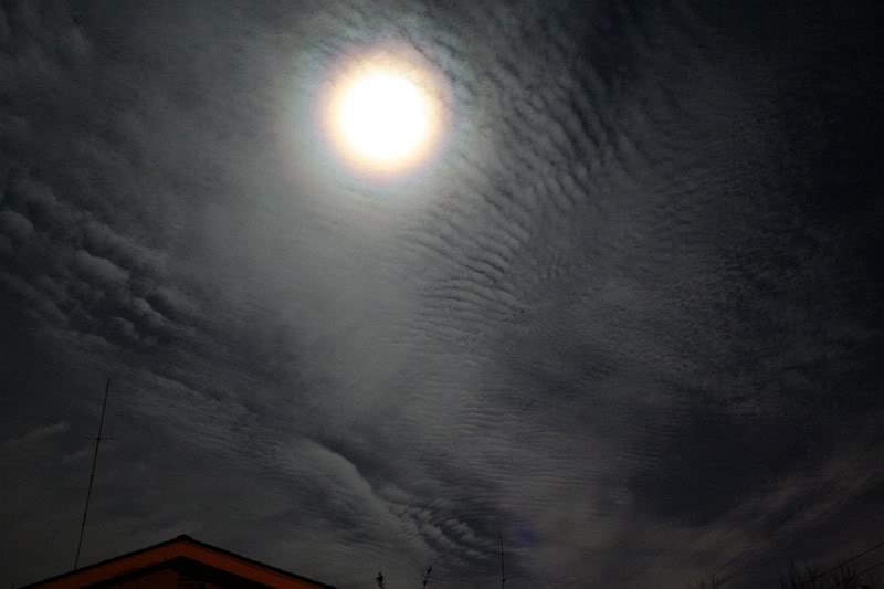 Name:  IMG_1405.jpg
Views: 17
Size:  37.1 KB