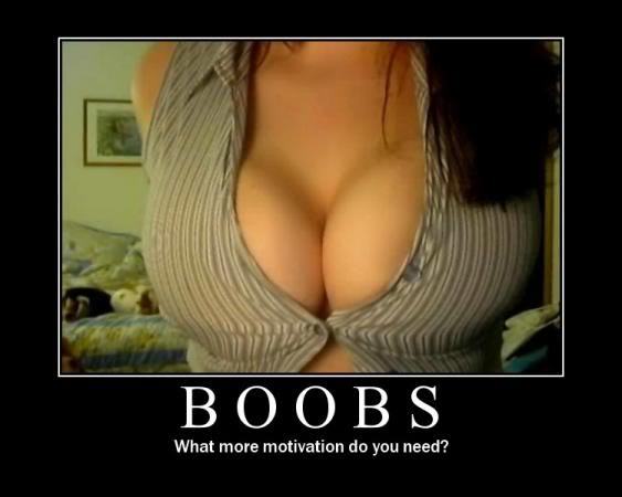 Name:  motoboobs.jpg
Views: 8
Size:  26.2 KB