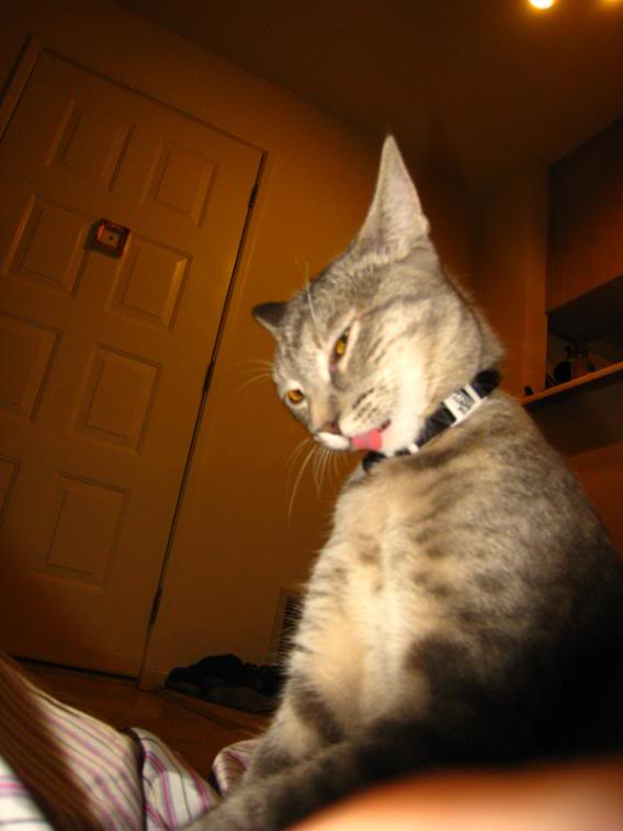 Name:  IMG_5047.jpg
Views: 10
Size:  35.8 KB