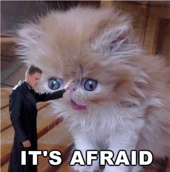 Name:  its_afraid.jpg
Views: 7
Size:  20.1 KB