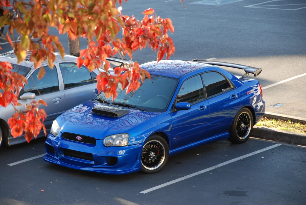Name:  DSC_0118.jpg
Views: 11
Size:  153.4 KB