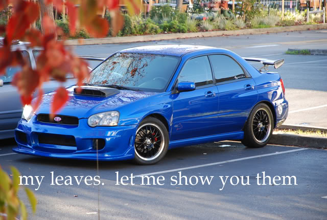 Name:  leavescopy.jpg
Views: 14
Size:  74.9 KB