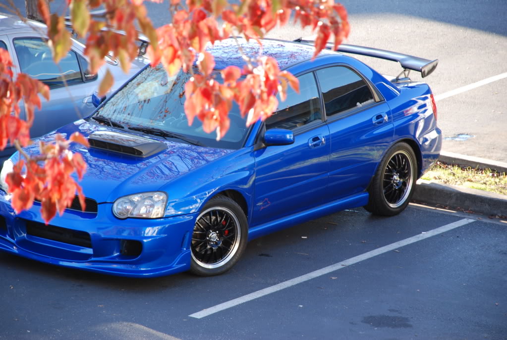 Name:  DSC_0138.jpg
Views: 12
Size:  153.0 KB
