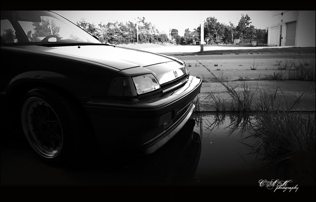 Name:  bwfrontyg4.jpg
Views: 28
Size:  45.8 KB
