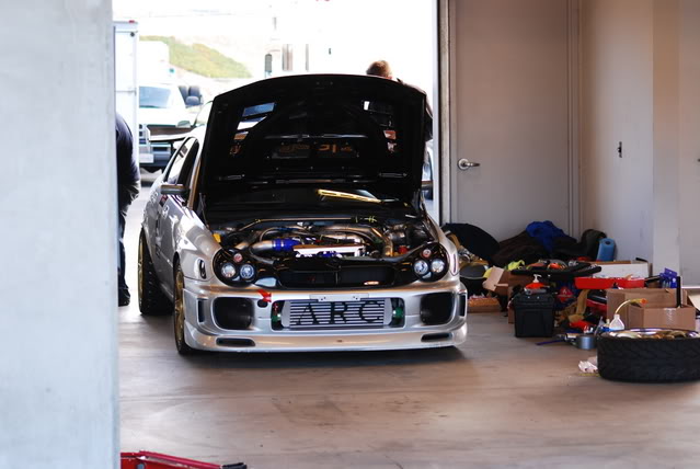 Name:  DSC_0590-1.jpg
Views: 16
Size:  73.4 KB