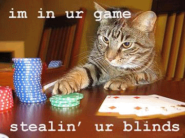 Name:  cats.gif
Views: 18
Size:  708.2 KB