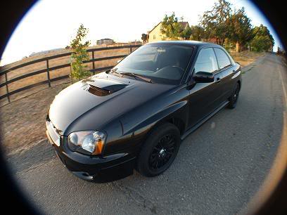 Name:  P8253607.jpg
Views: 9
Size:  26.7 KB