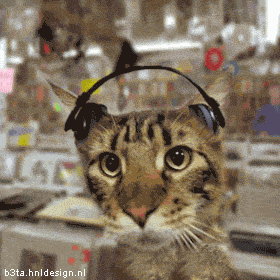 Name:  image0011.gif
Views: 12
Size:  115.2 KB