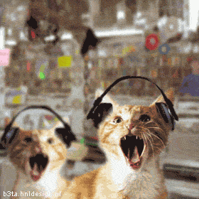 Name: image0033.gif
Views: 11
Size: 71.1 KB