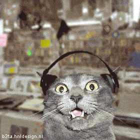 Name:  image0066.gif
Views: 11
Size:  234.5 KB