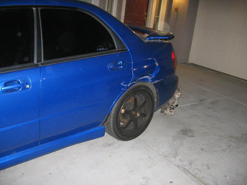 Name:  summer07097.jpg
Views: 21
Size:  40.0 KB