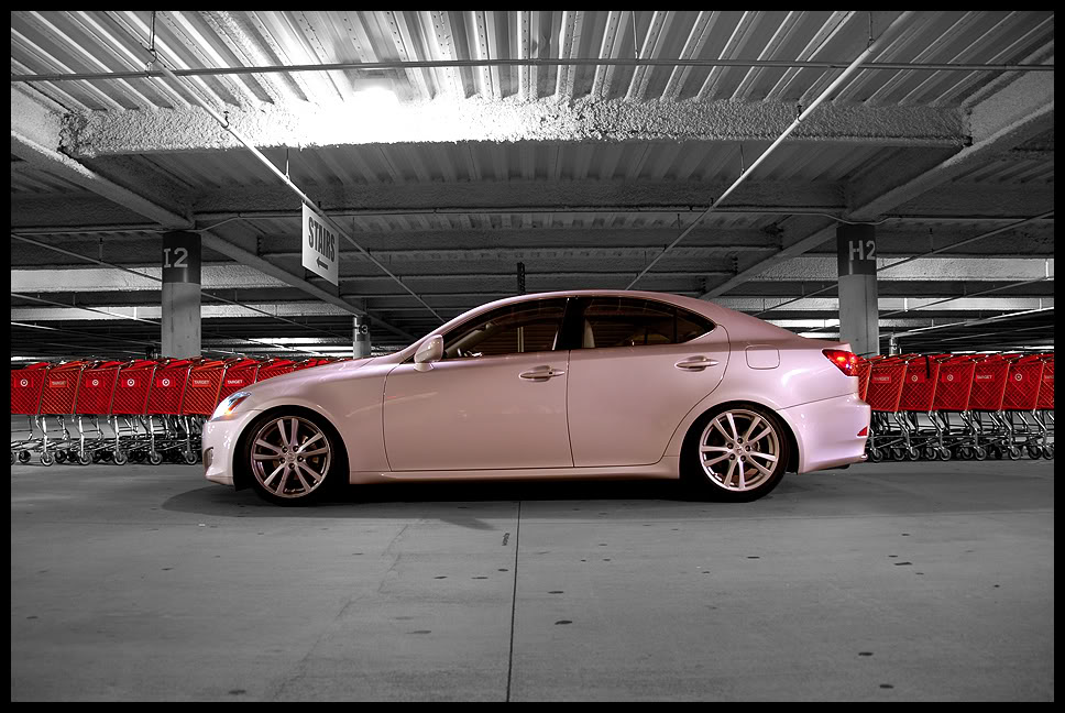 Name:  DSC_8766mod.jpg
Views: 18
Size:  147.6 KB