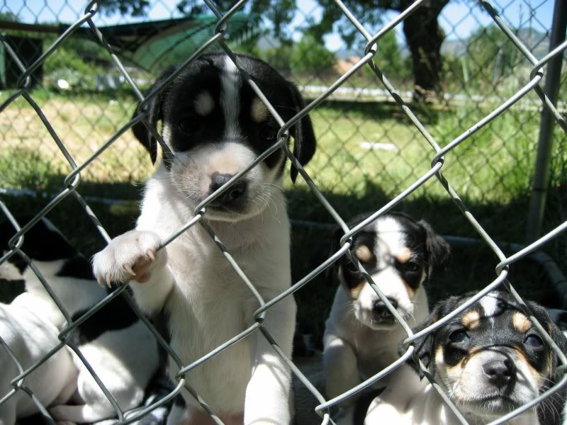 Name:  Max1.jpg
Views: 19
Size:  88.9 KB